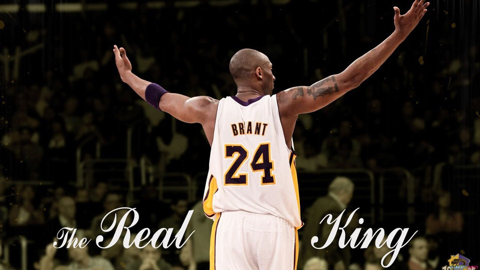 爱游戏app下载-冯唐式：写实明星成长的NBA故事，冯唐名人名言